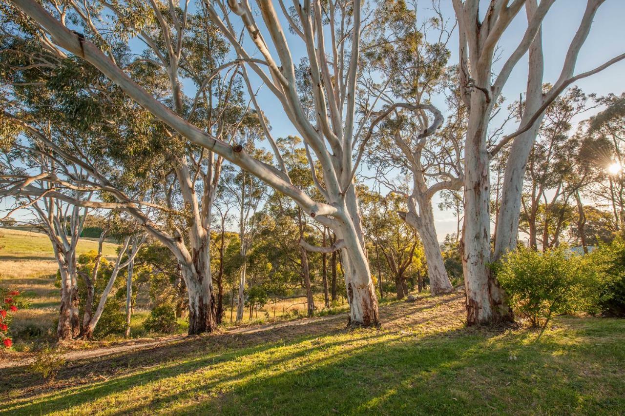 Discovery Parks - Hahndorf Εξωτερικό φωτογραφία